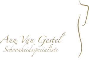 logo (1) logo (1)
